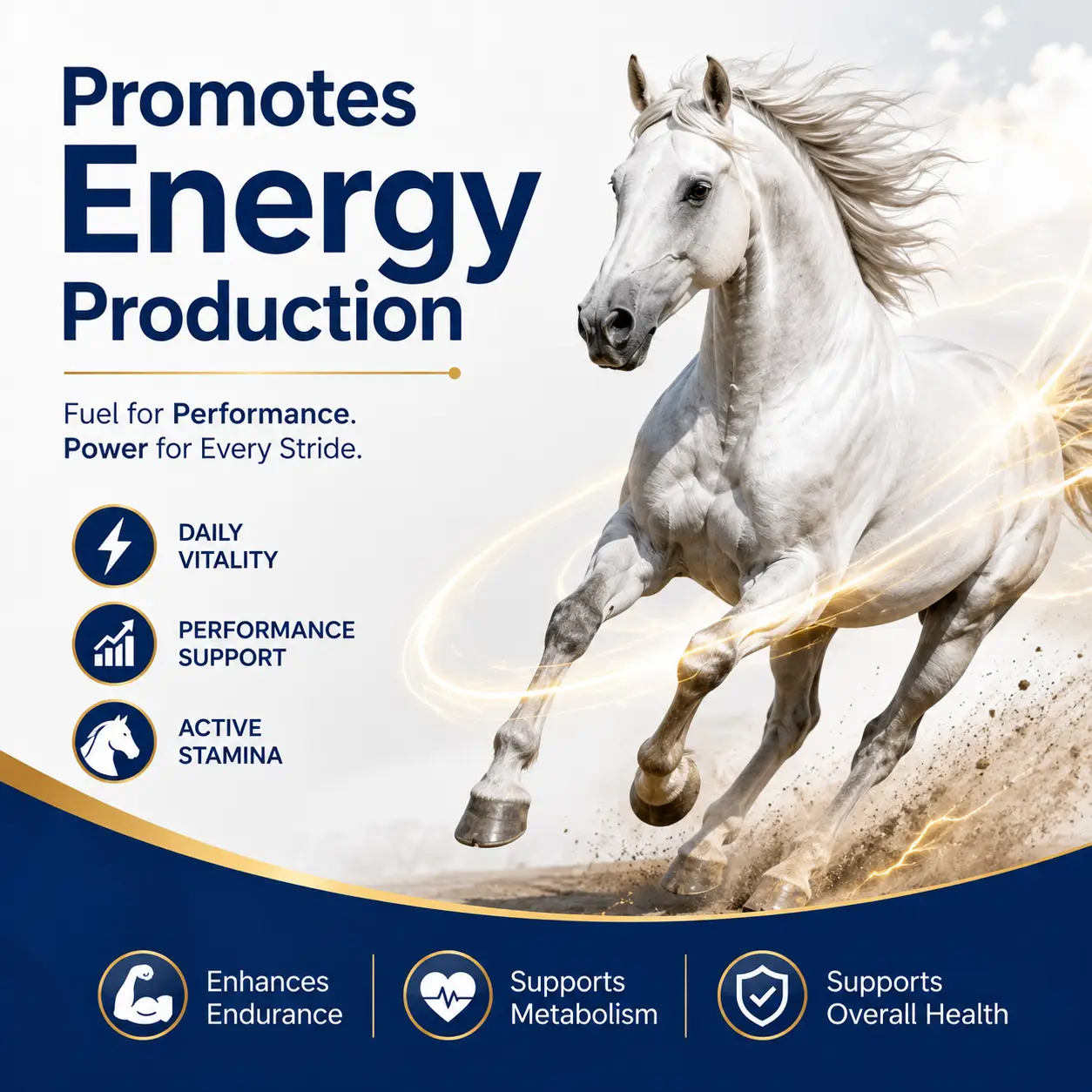 Acetyl L-Carnitine Soft Chews for Horses 3