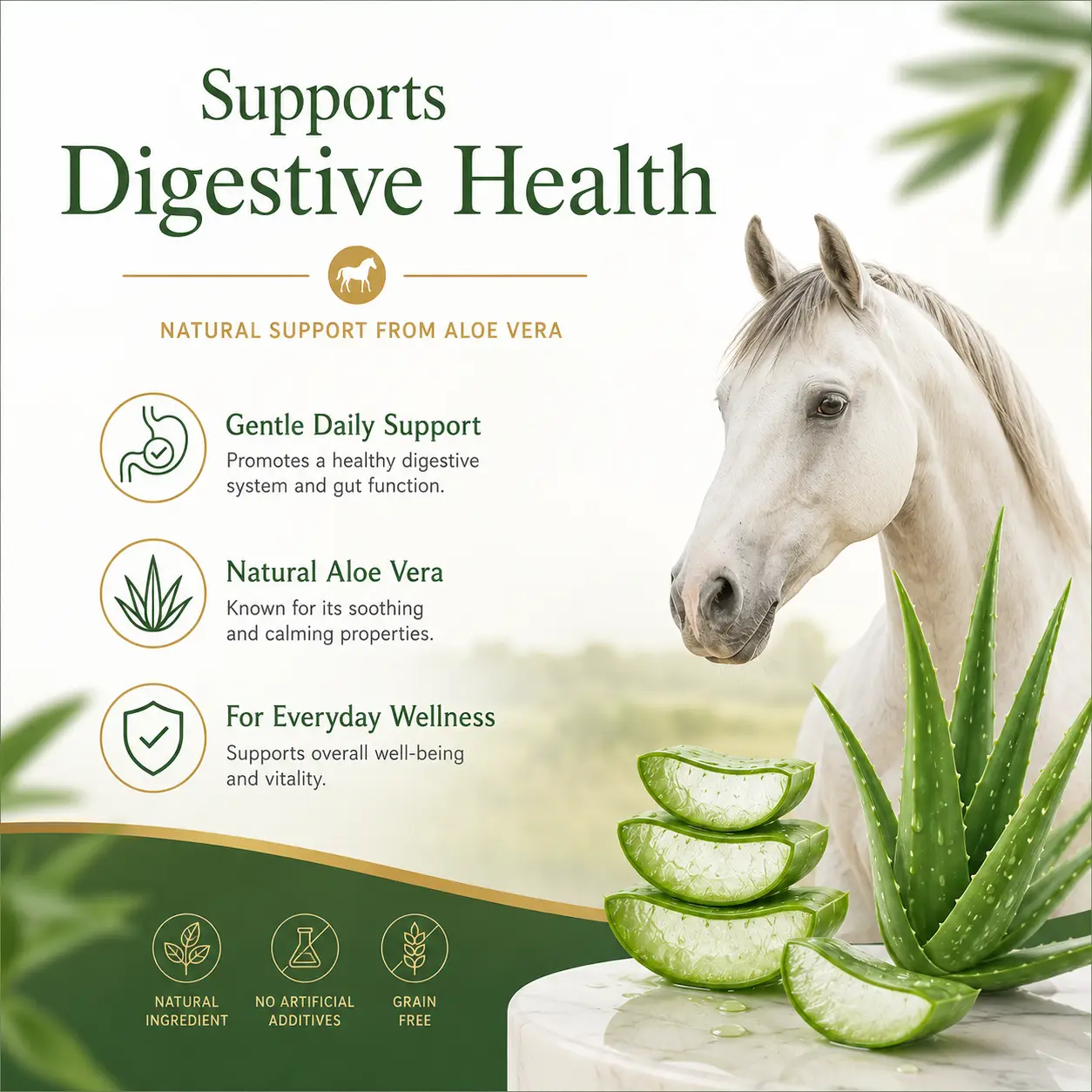 Simple Aloe Vera Soft Chews for Horses 2