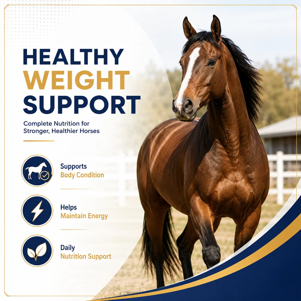 Gain Soft Chews for Horses 2