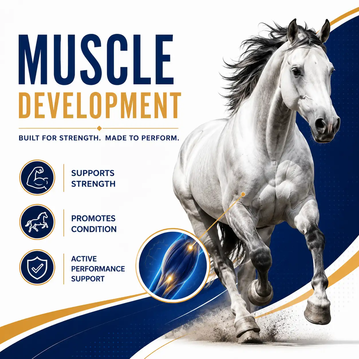 Gain Soft Chews for Horses 3