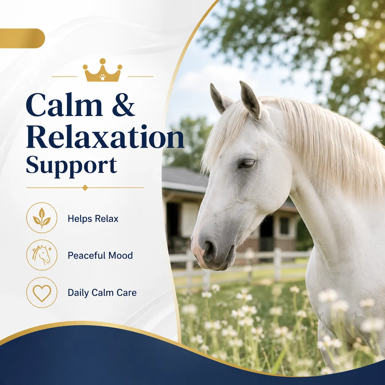 Mare Harmony Soft Chews for Horses 4
