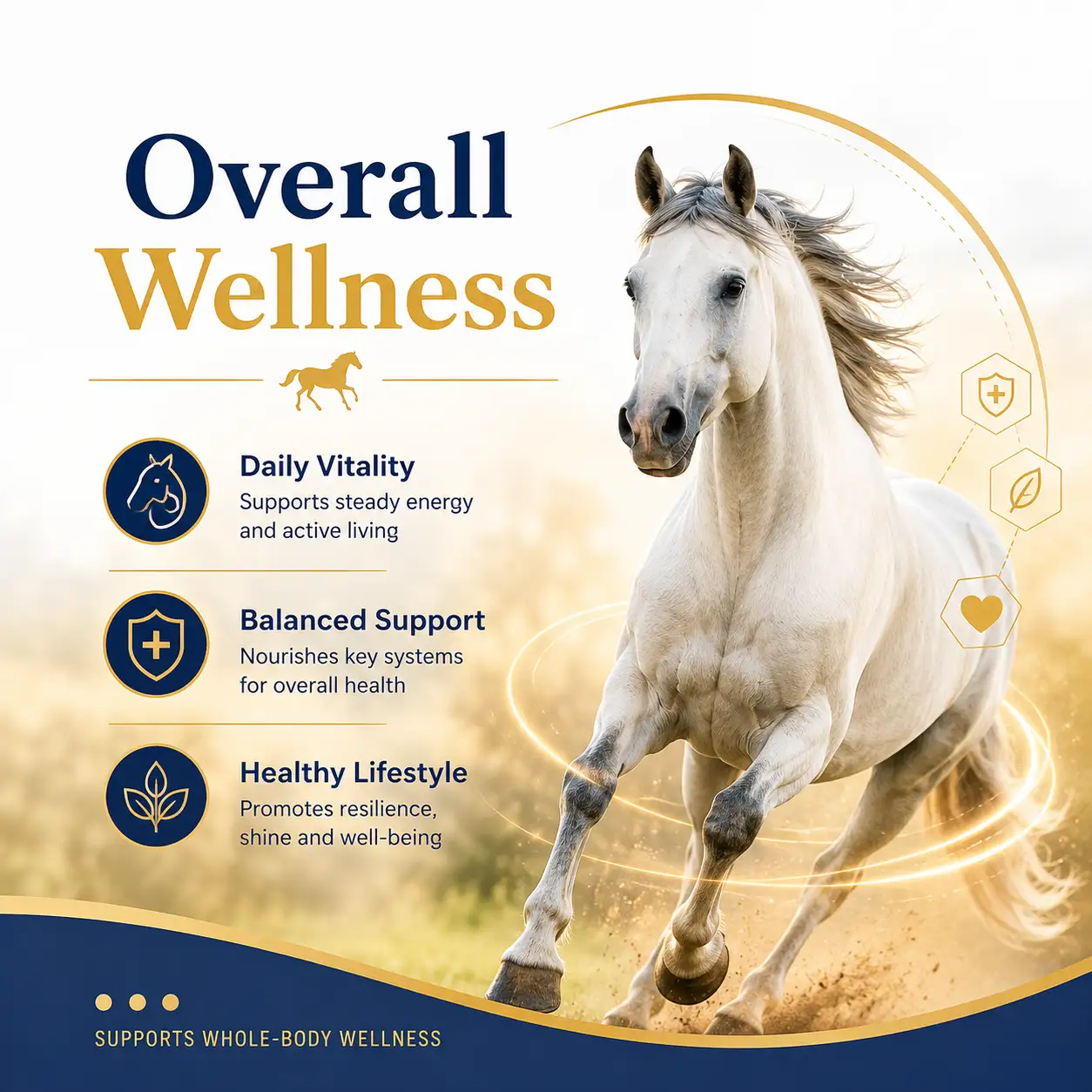 Omega 3 & E Ultra Soft Chews for Horses 4