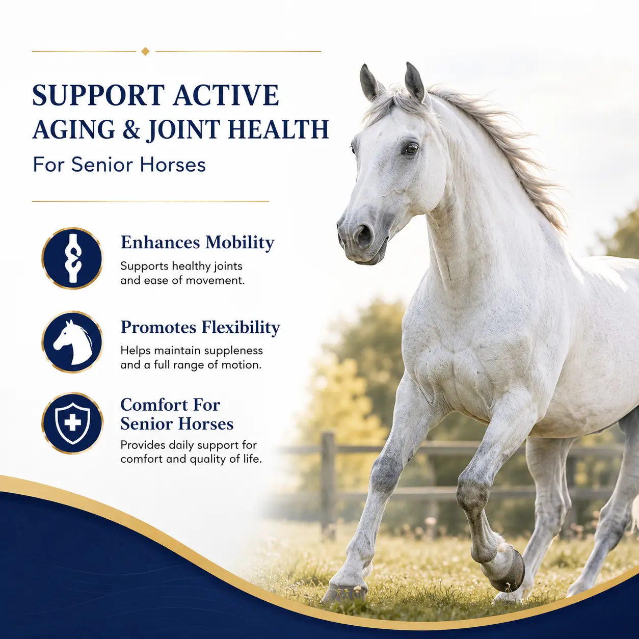 SmartFlex Senior Soft Chews for Older Horses 3