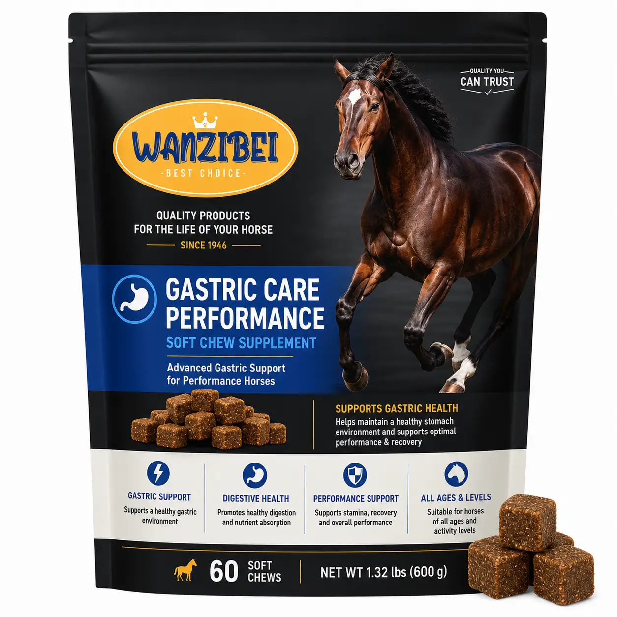 Equine Gastric Care Performance — WanZIBei Horse Digestive Support