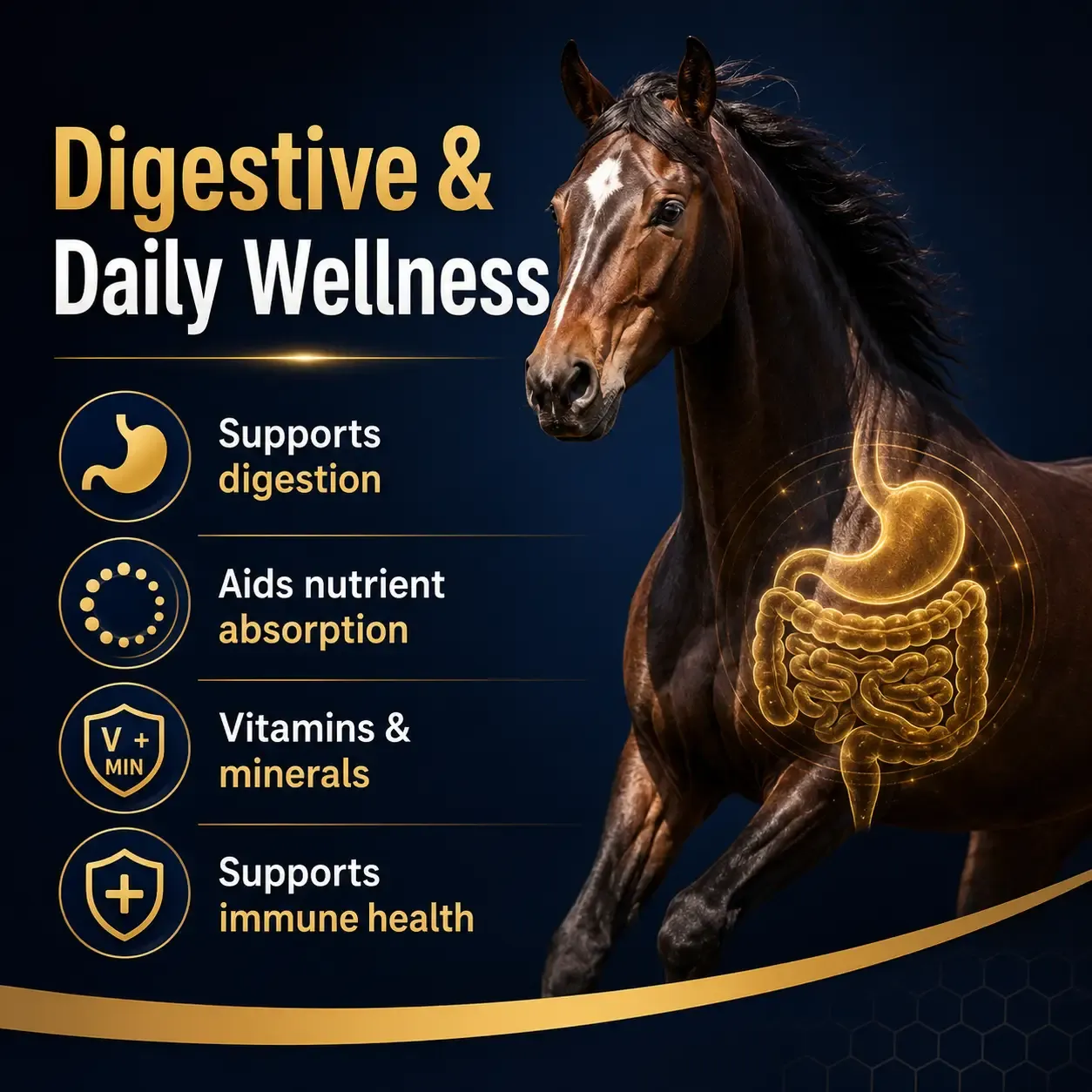 Amplify High-Fat Soft Chews for Horses 3