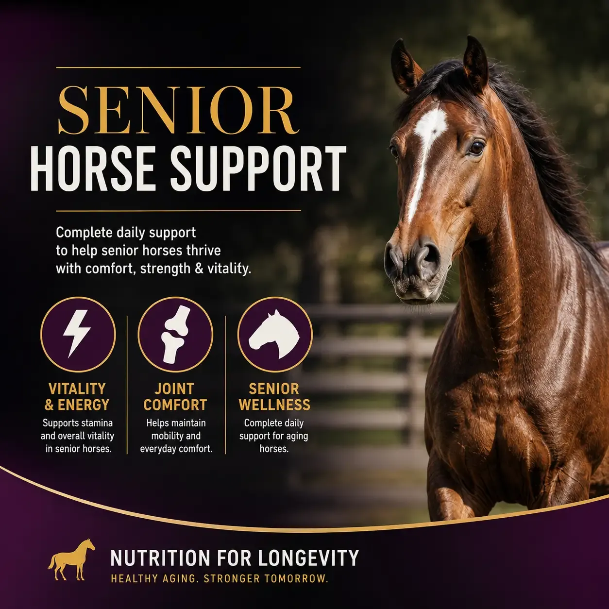Equine Senior Soft Chews for Horses 2