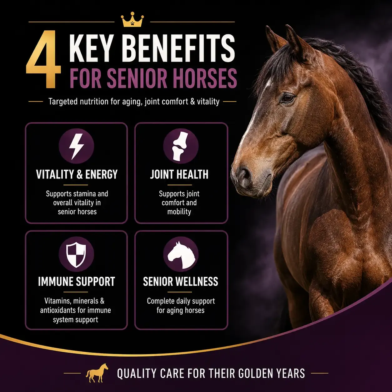 Equine Senior Soft Chews for Horses 3