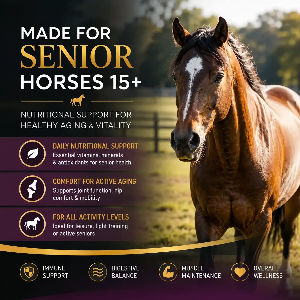 Equine Senior Soft Chews for Horses 4