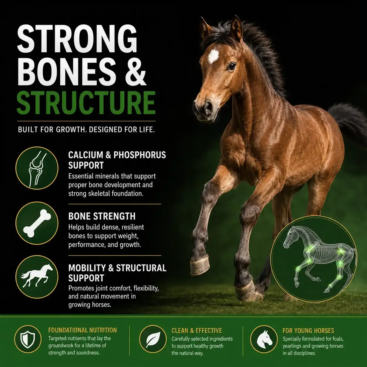 Growth Soft Chews for Horses 3