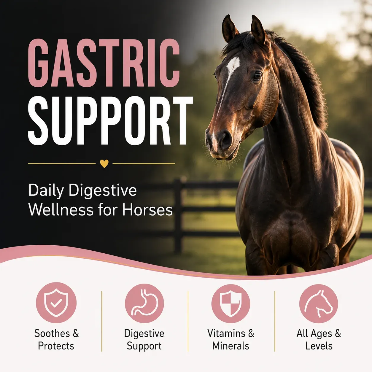 Gastric Support Soft Chews for Horses 2