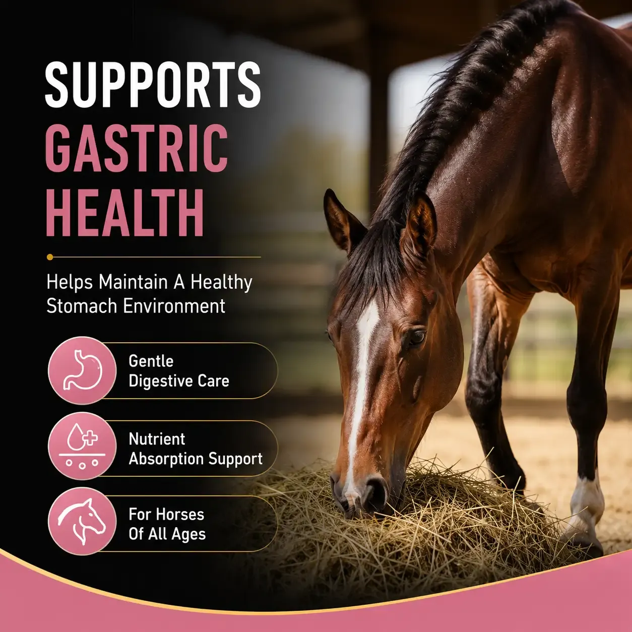 Gastric Support Soft Chews for Horses 3