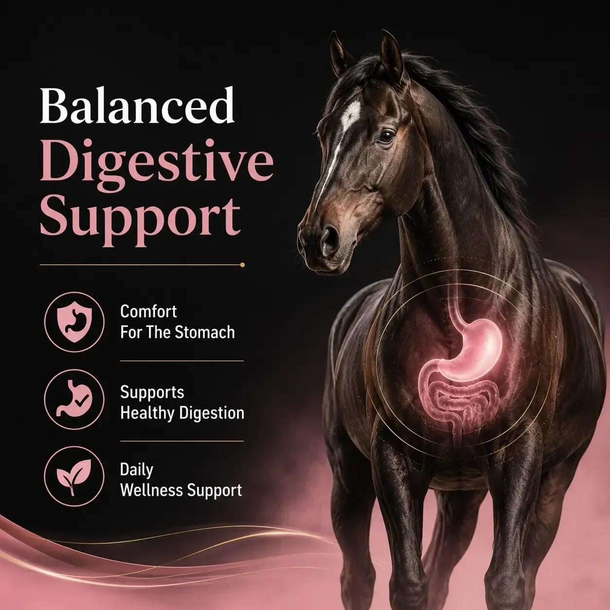 Gastric Support Soft Chews for Horses 4