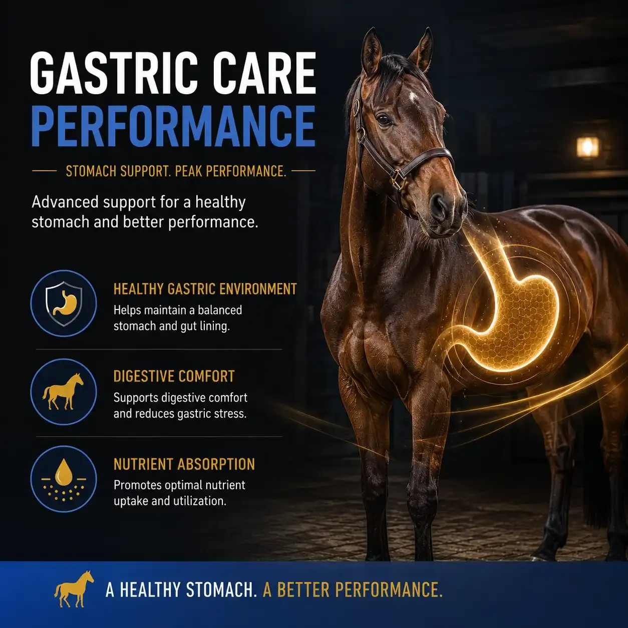 Gastric Care Performance Soft Chews for Horses 2