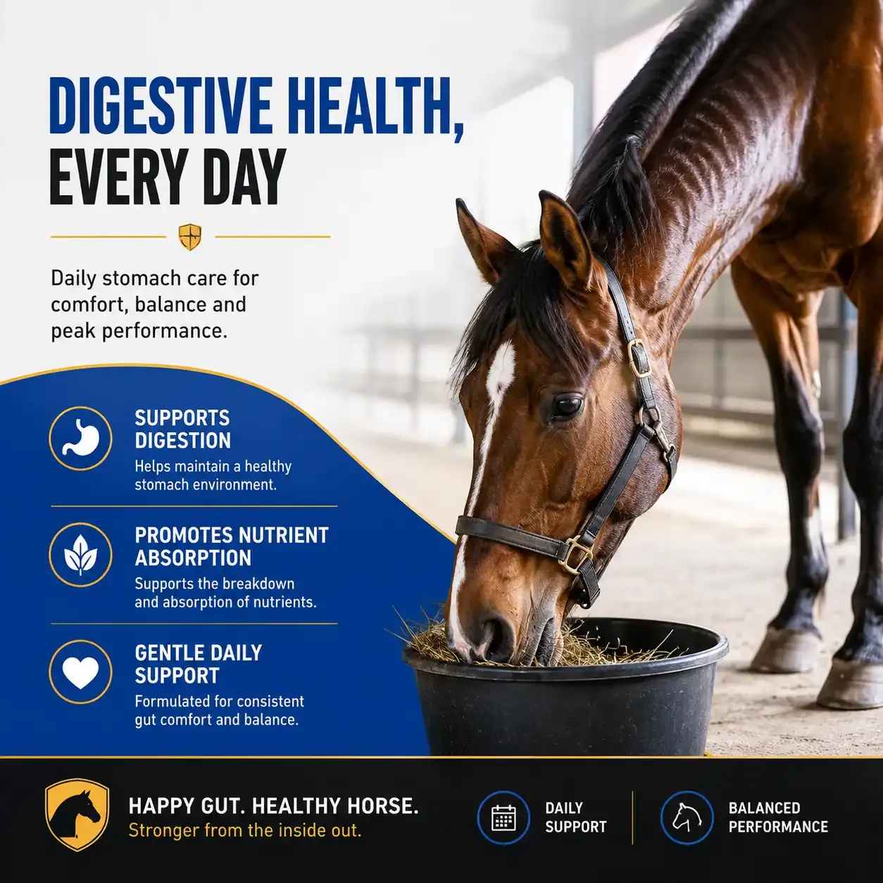 Gastric Care Performance Soft Chews for Horses 3