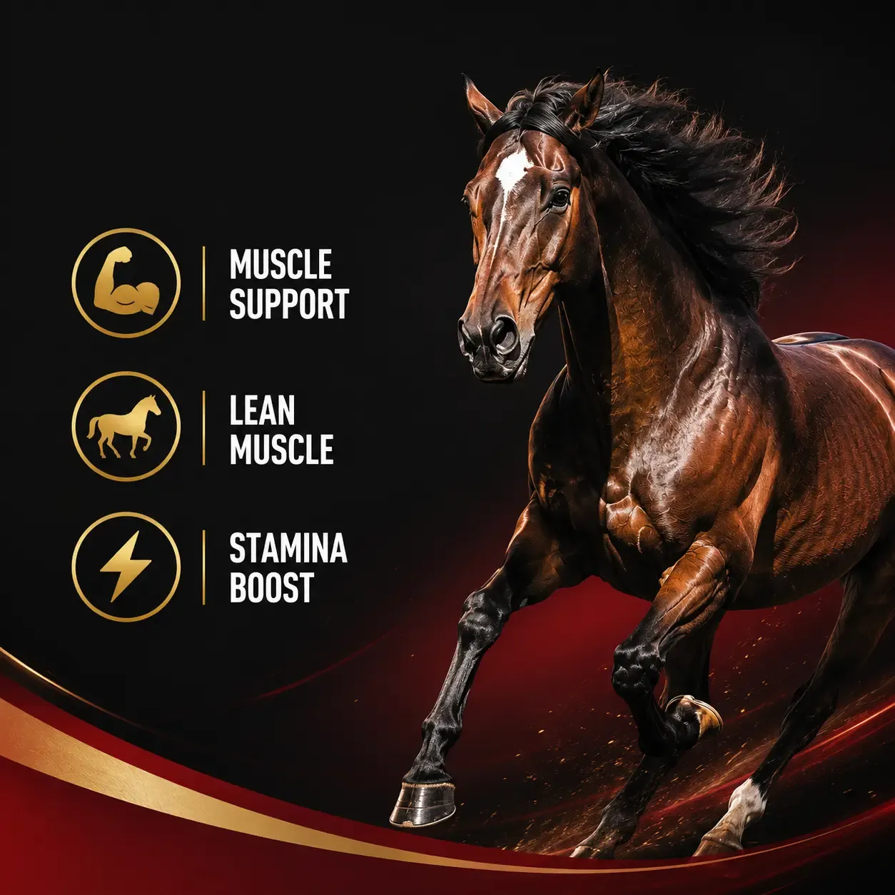 Sport Amino Acid Soft Chews for Horses 2