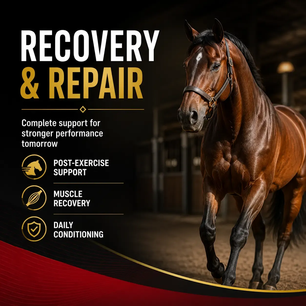 Sport Amino Acid Soft Chews for Horses 3