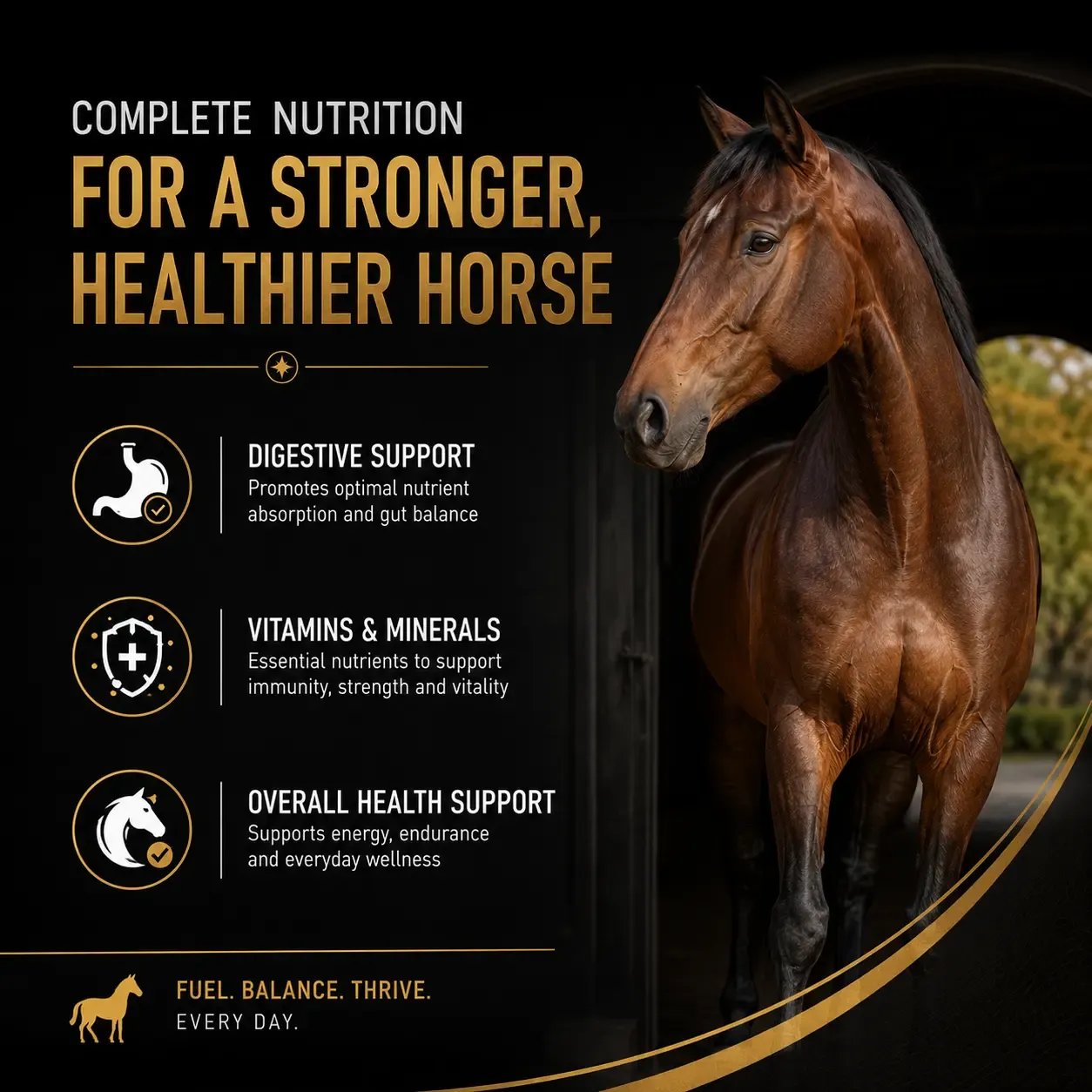 Competition Soft Chews for Horses 3