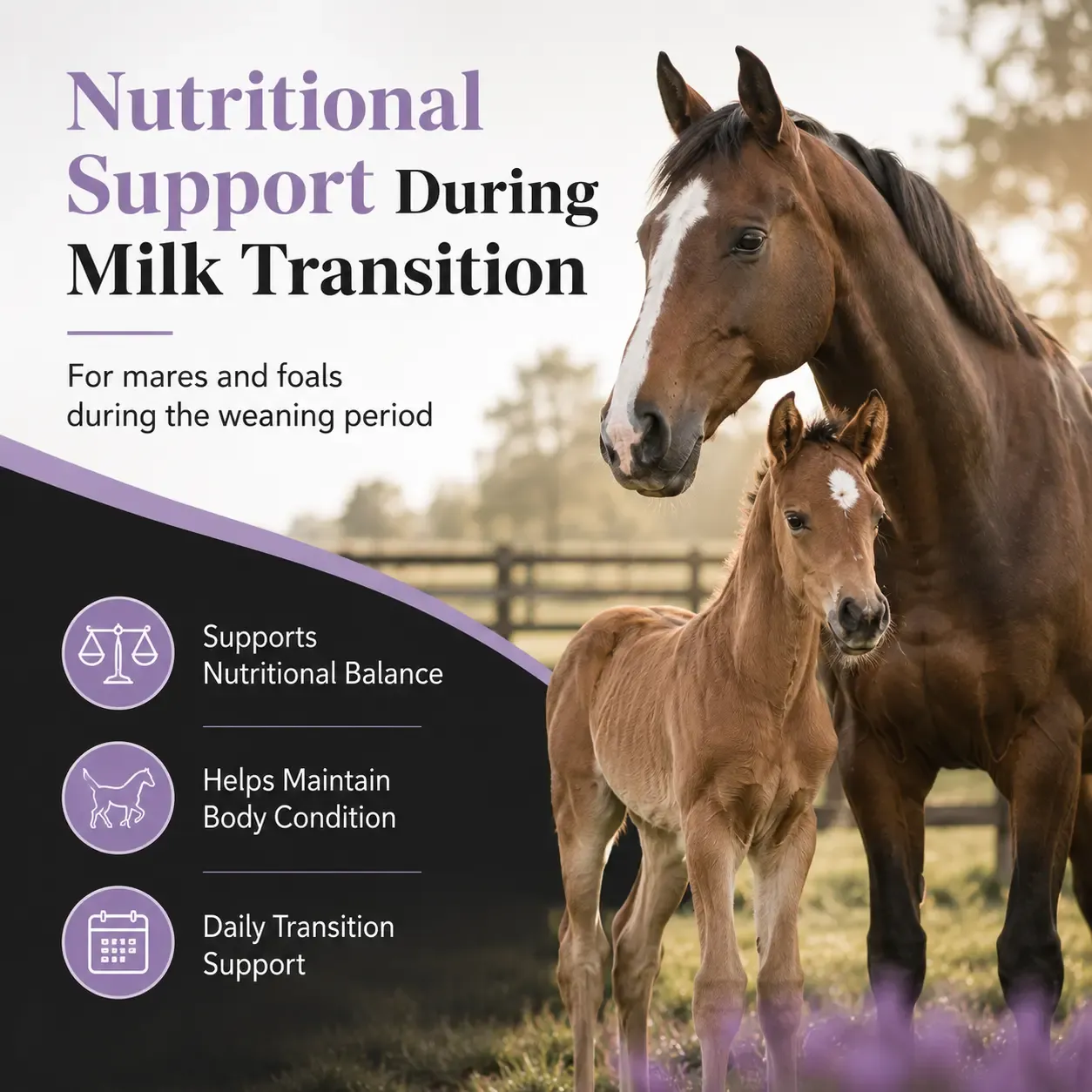 Milk Transition Soft Chews for Foals 2