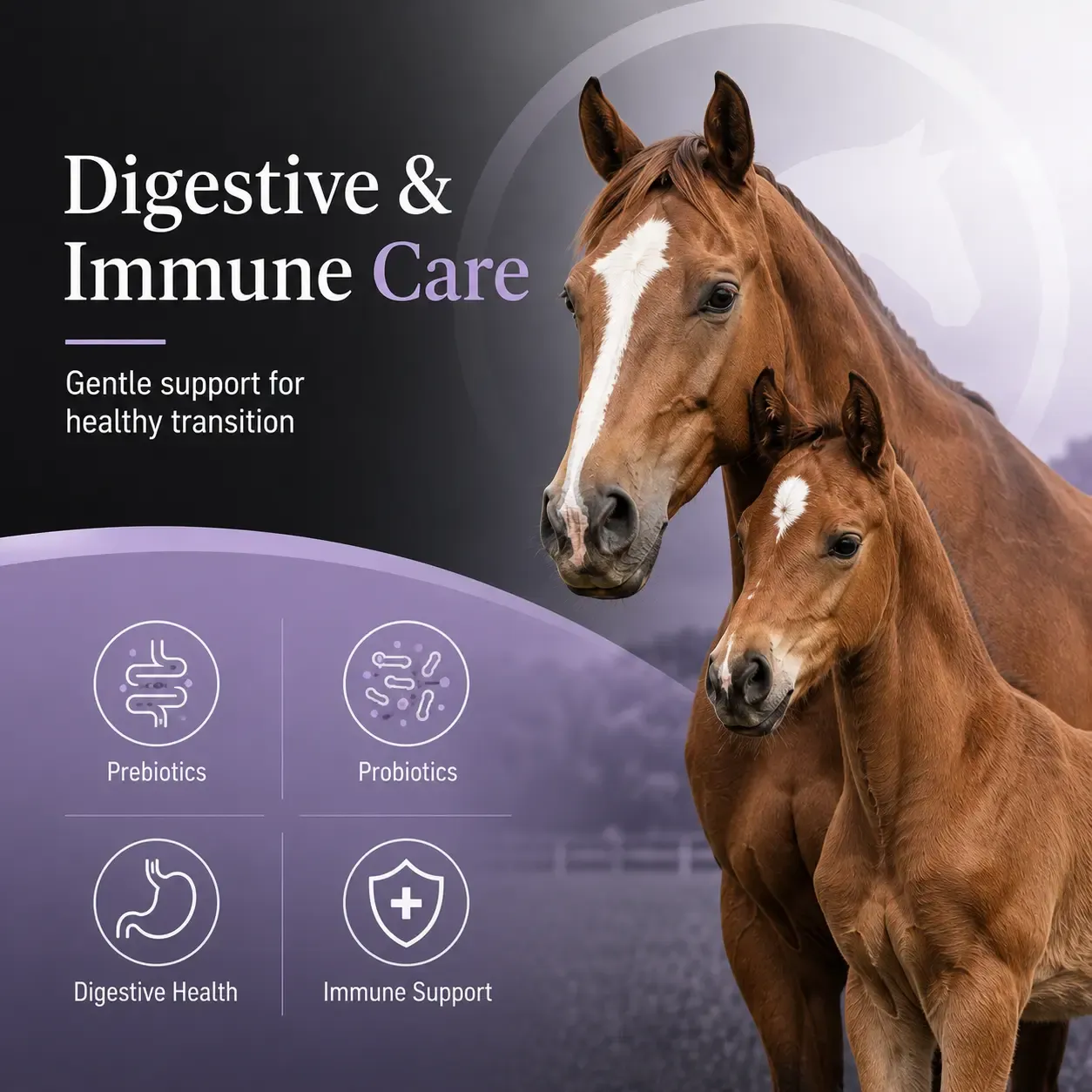 Milk Transition Soft Chews for Foals 3