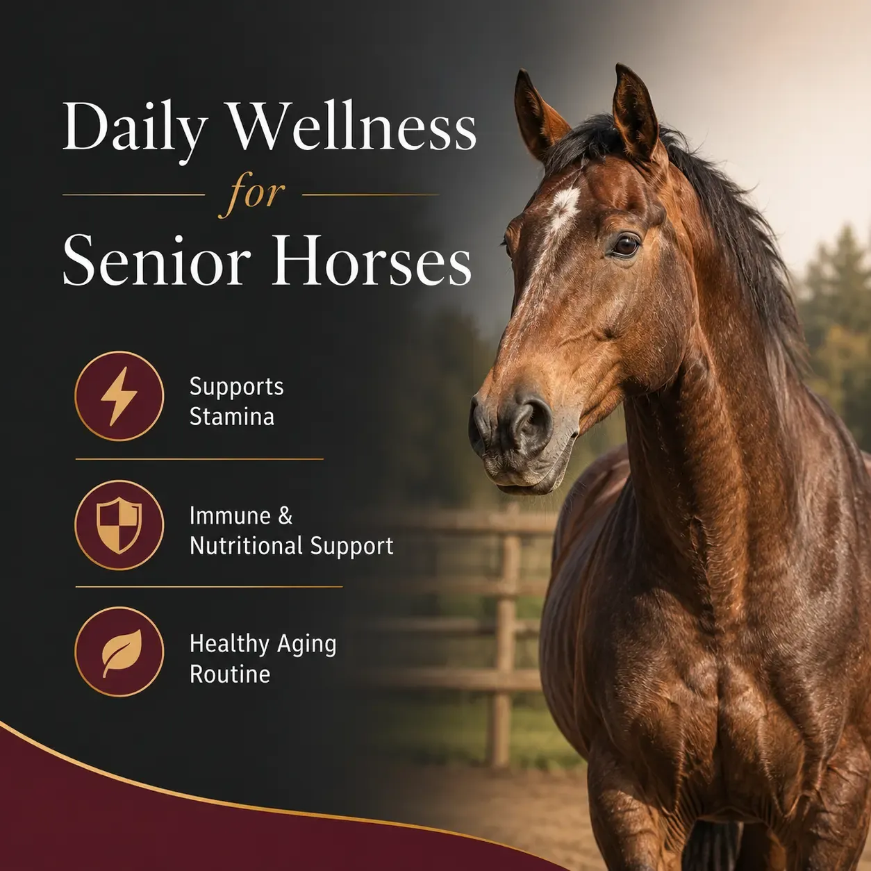 Senior Active Soft Chews for Horses 4