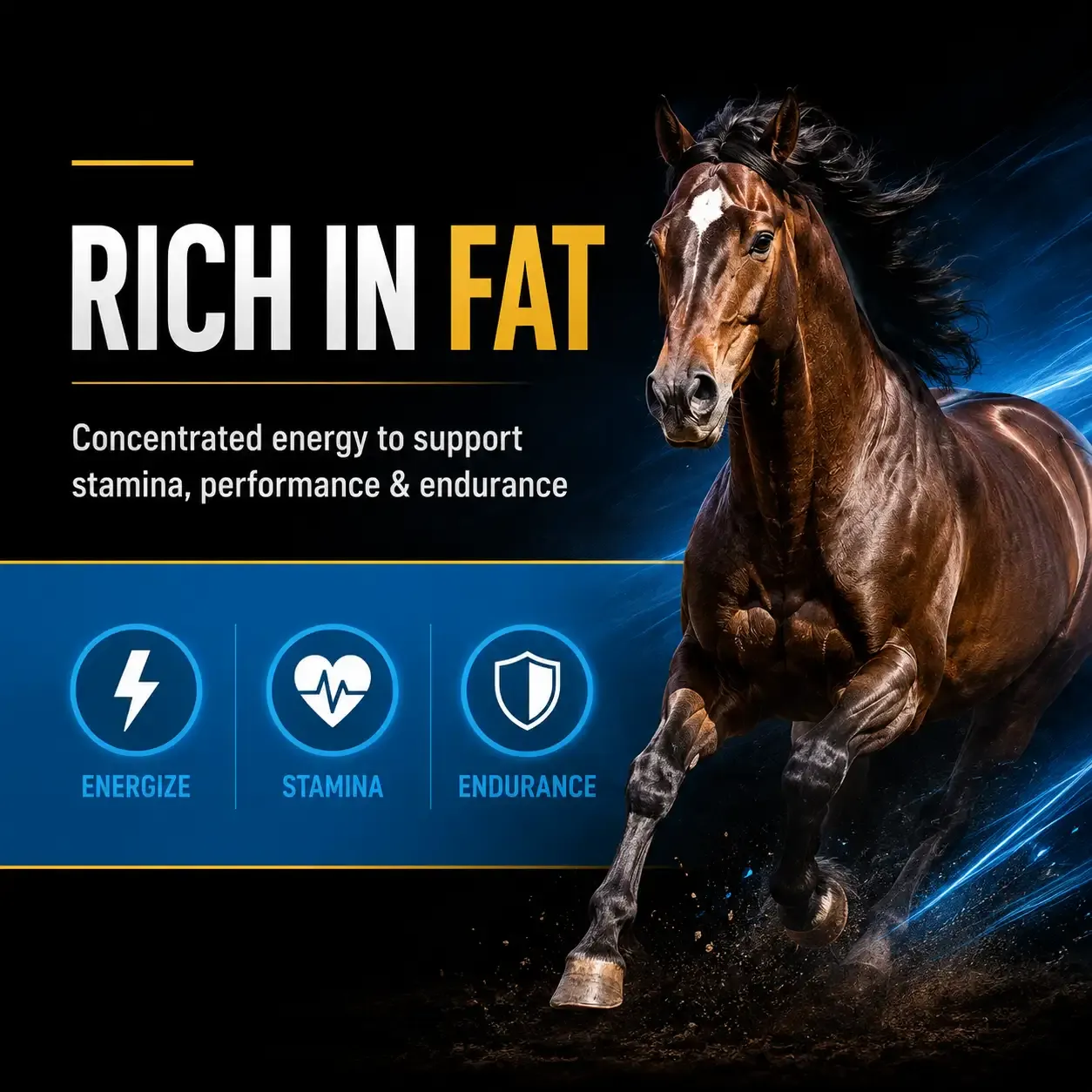 100 Active Pleasure Soft Chews for Horses 2
