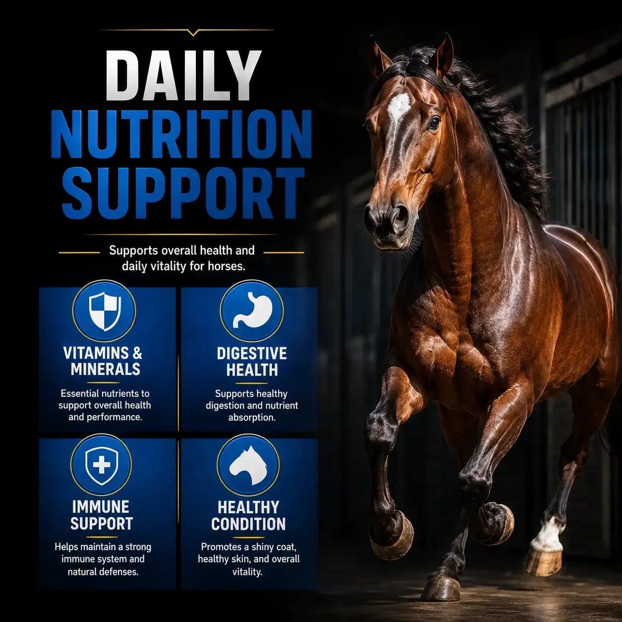 100 Active Pleasure Soft Chews for Horses 3
