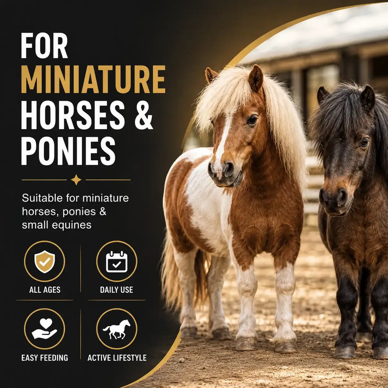 Miniature Horse & Pony Soft Chews 4