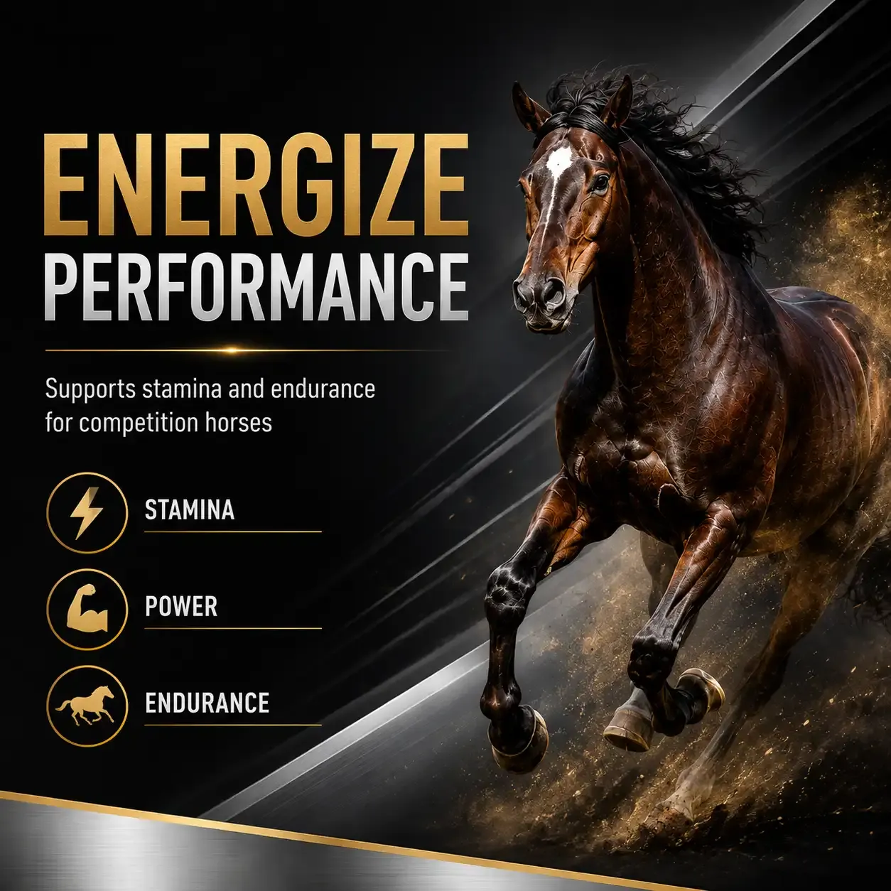 500 Competition Soft Chews for Horses 2