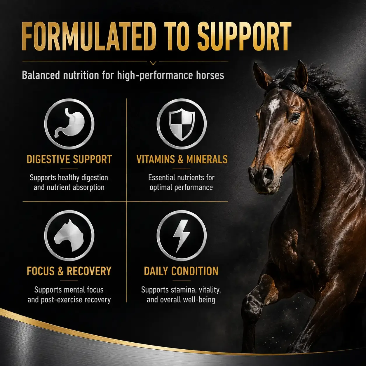 500 Competition Soft Chews for Horses 3