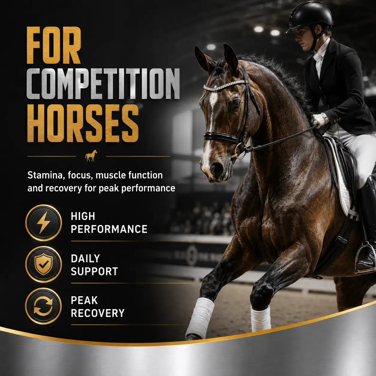 500 Competition Soft Chews for Horses 4