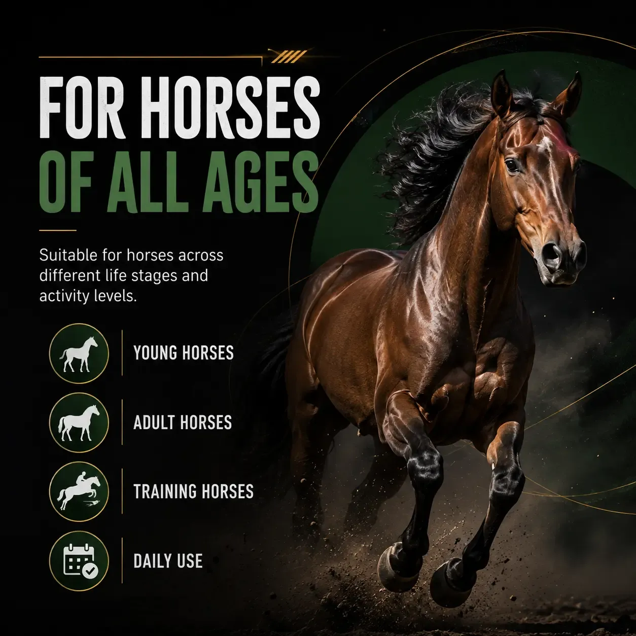 Balance 12:12 Vitamin & Mineral Soft Chews for Horses 2