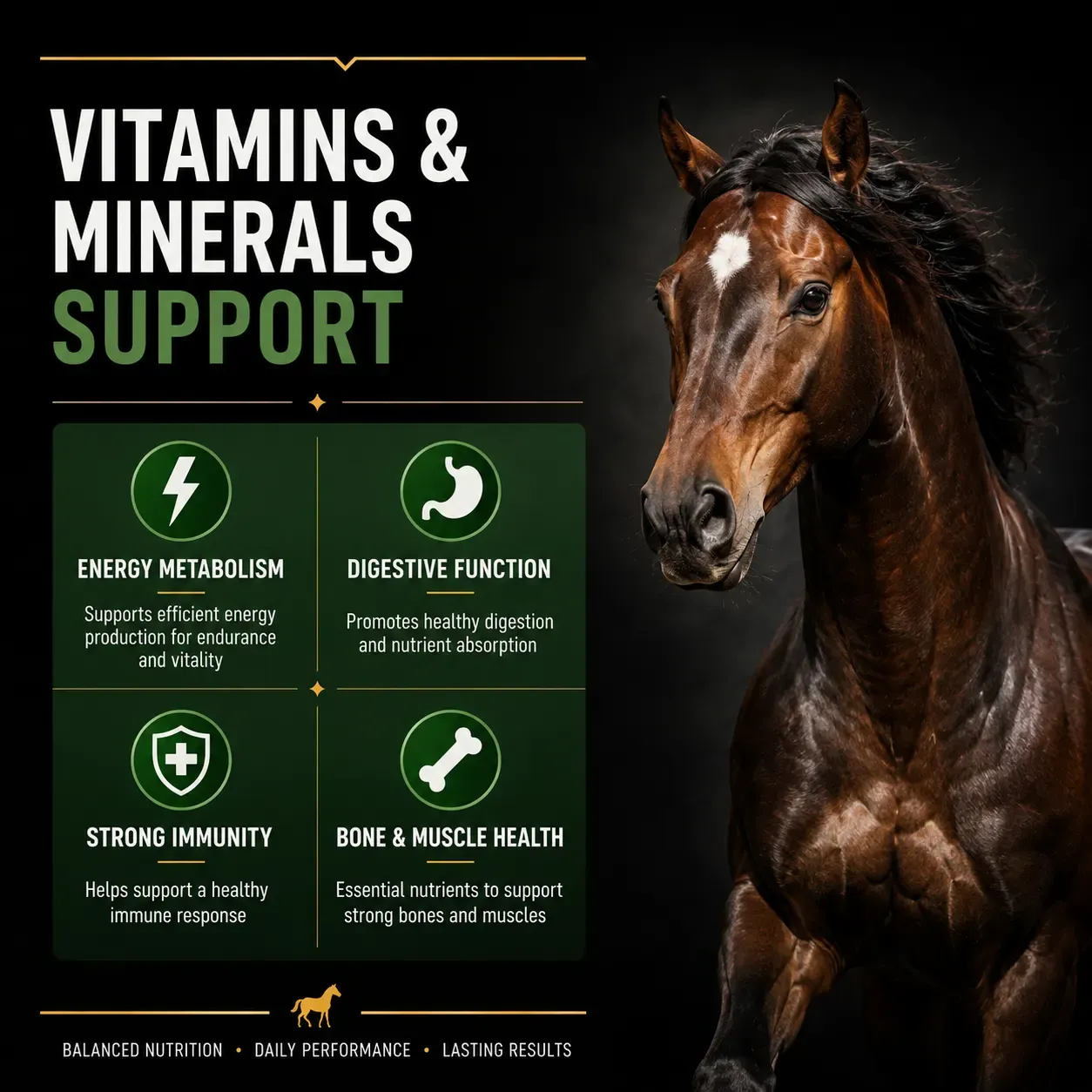 Balance 12:12 Vitamin & Mineral Soft Chews for Horses 3