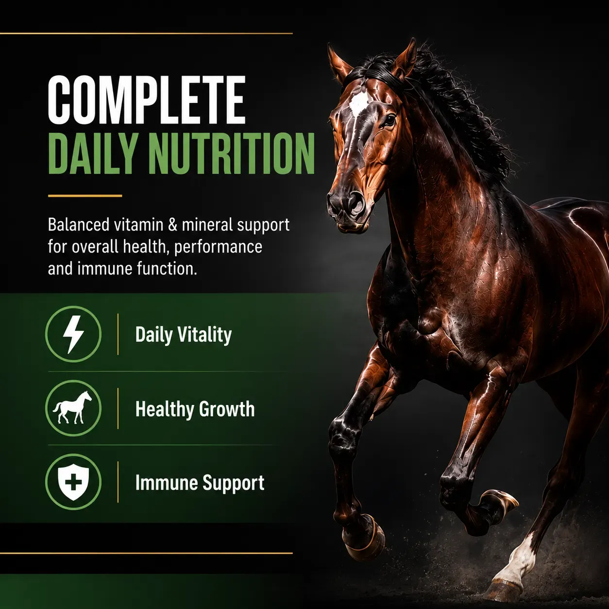 Balance 12:12 Vitamin & Mineral Soft Chews for Horses 4