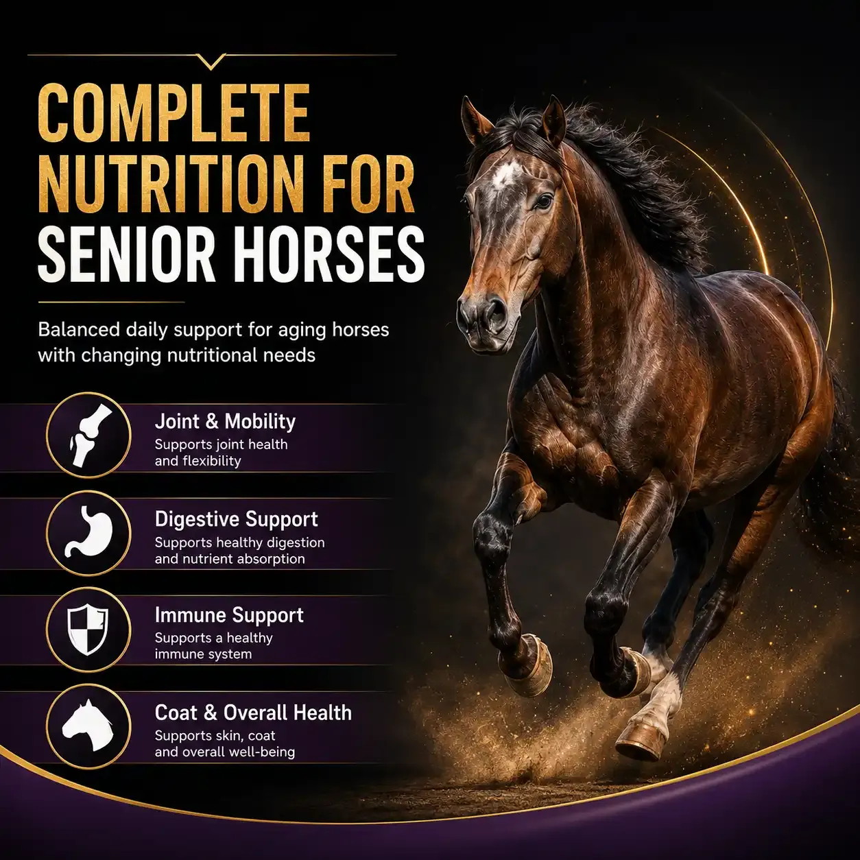Senior Ration Balancer Soft Chews for Horses 2