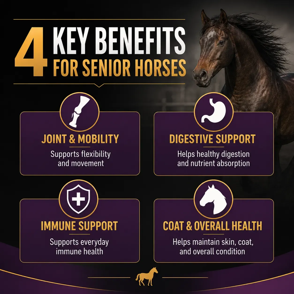 Senior Ration Balancer Soft Chews for Horses 3