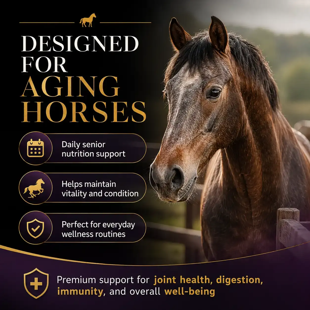 Senior Ration Balancer Soft Chews for Horses 4
