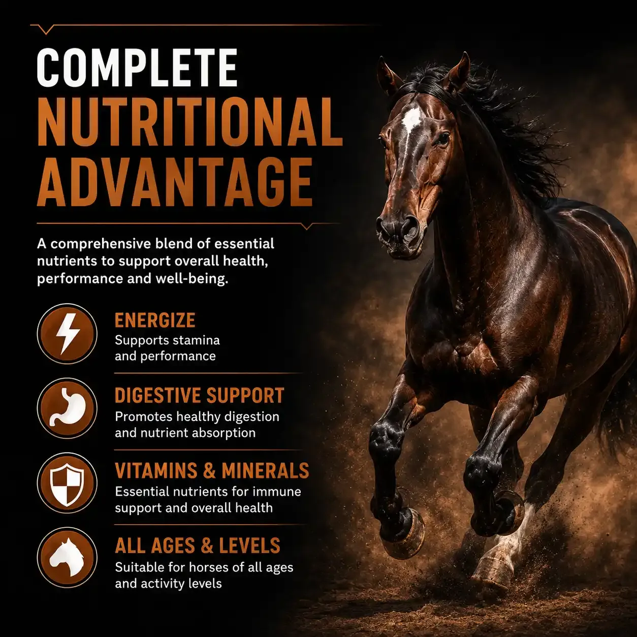 400 Complete Advantage Soft Chews for Horses 2