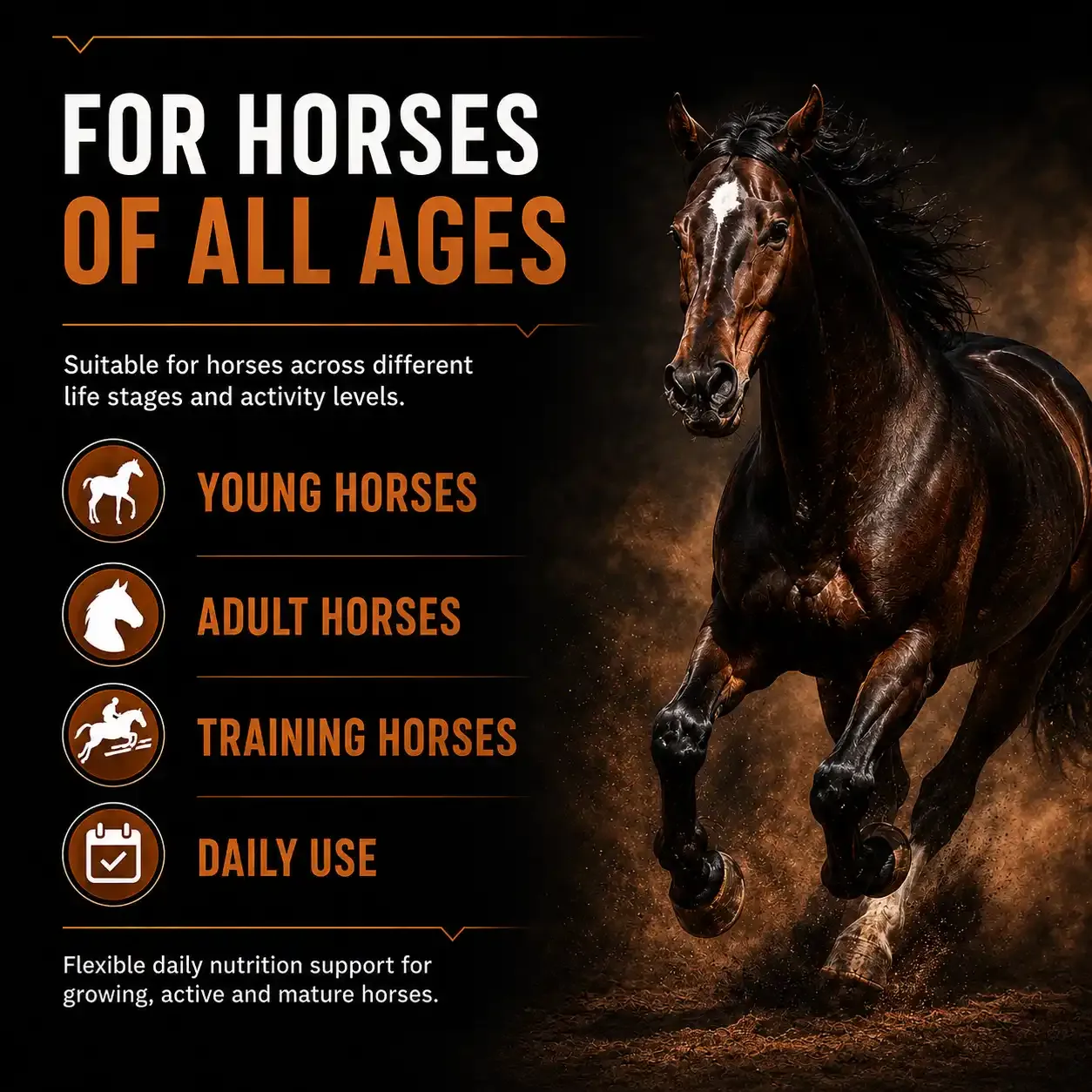 400 Complete Advantage Soft Chews for Horses 3