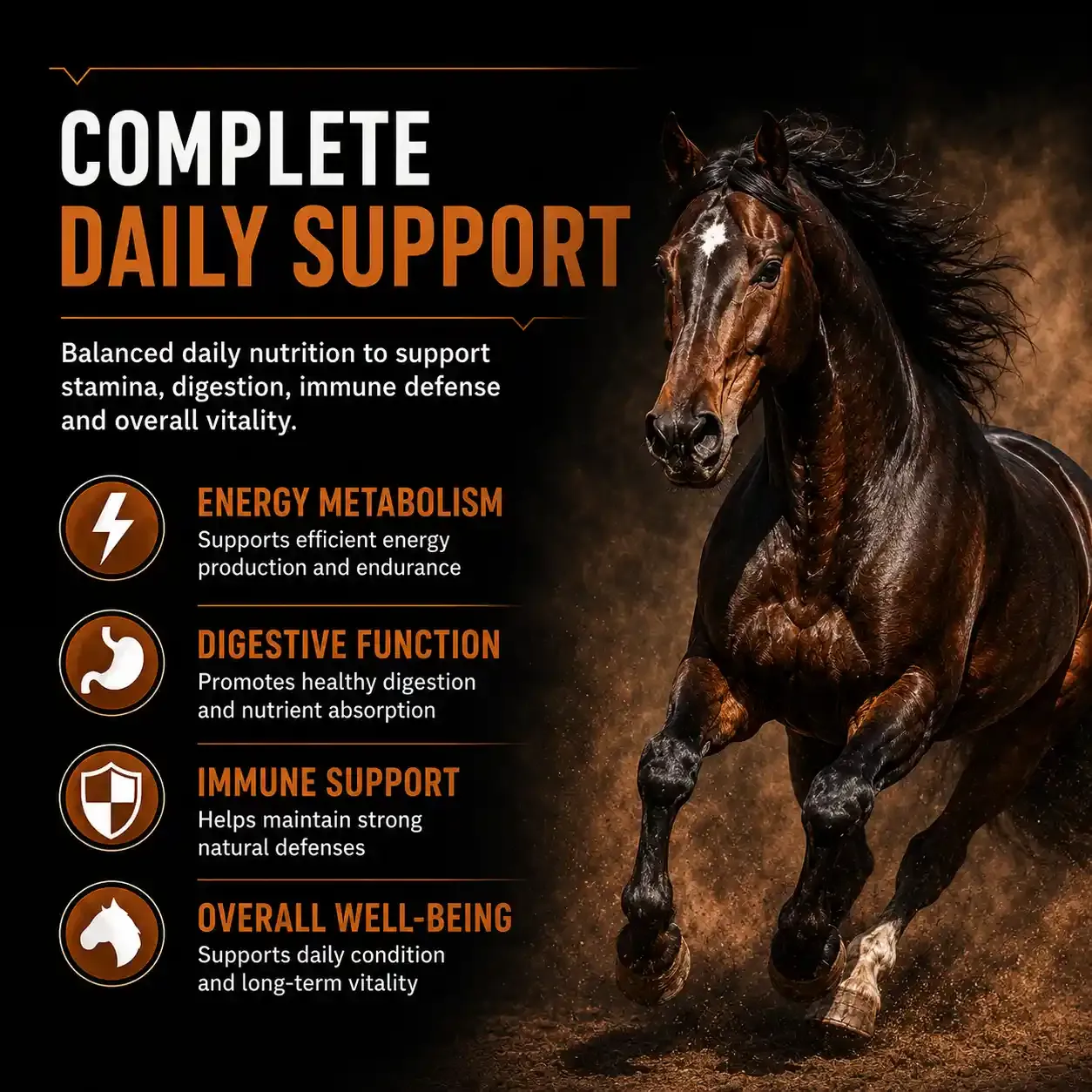 400 Complete Advantage Soft Chews for Horses 4